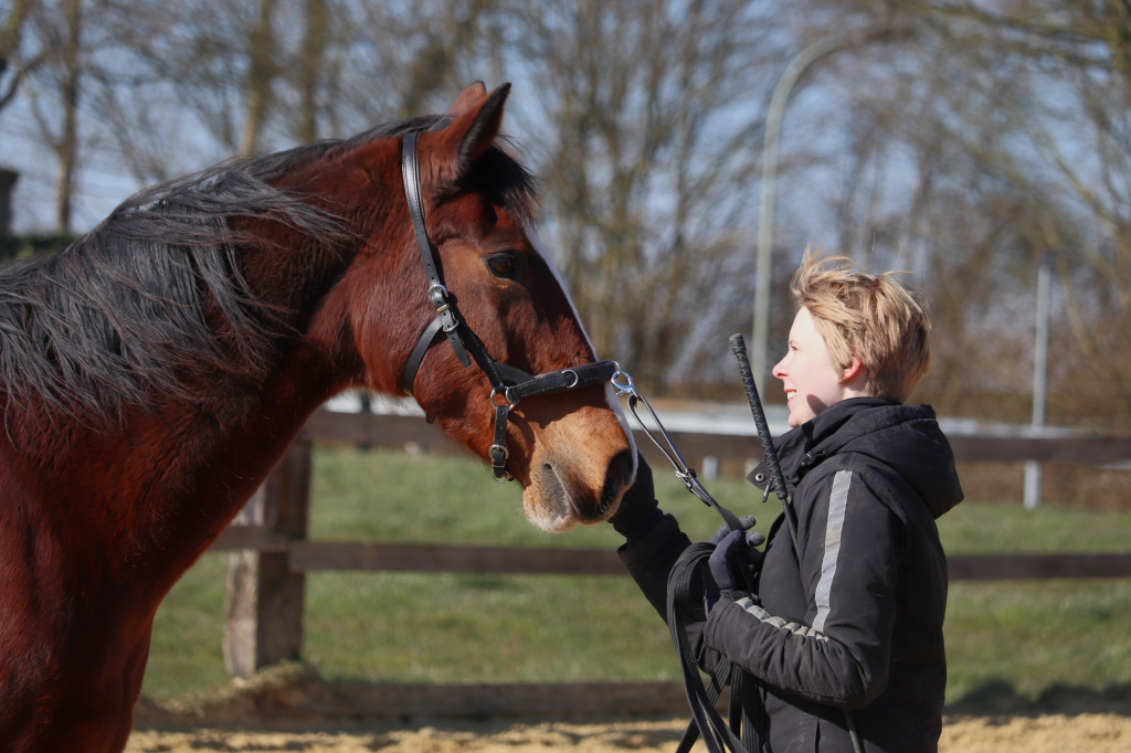 Warum handeln wir, wie wir handeln?