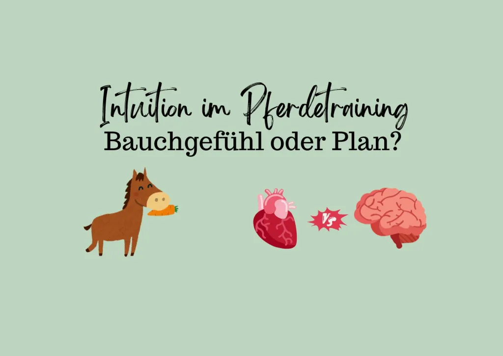 Intuition im Pferdetraining – Bauchgefühl oder Plan?