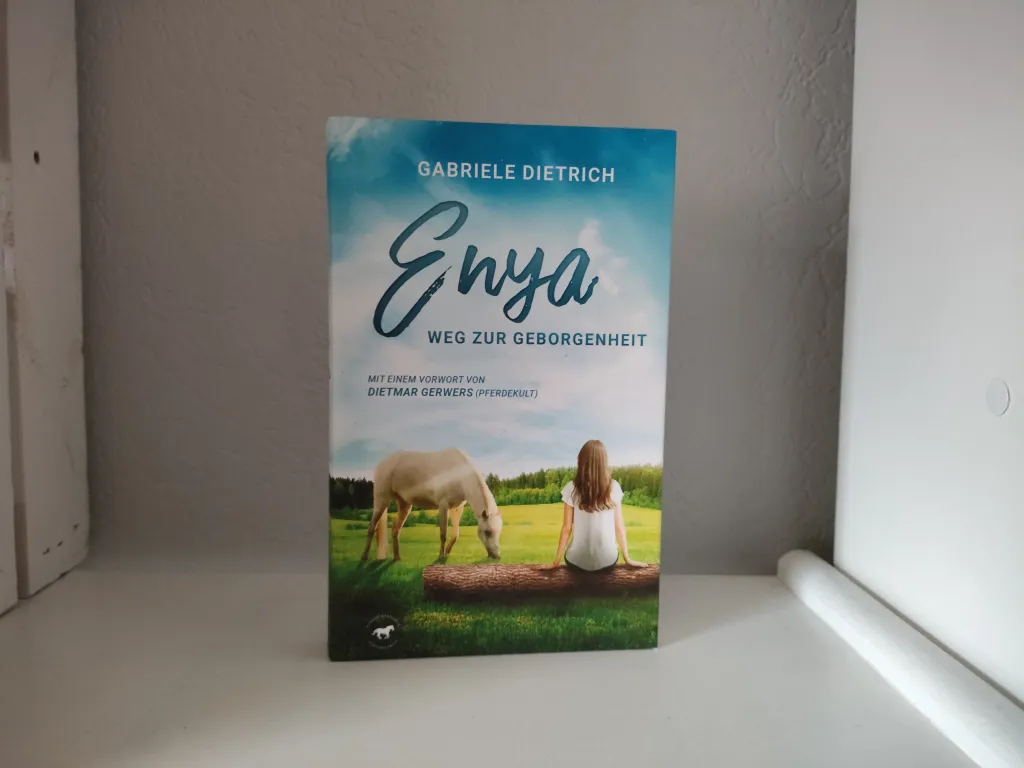 Buchtipp: Enya – Weg zur Geborgenheit