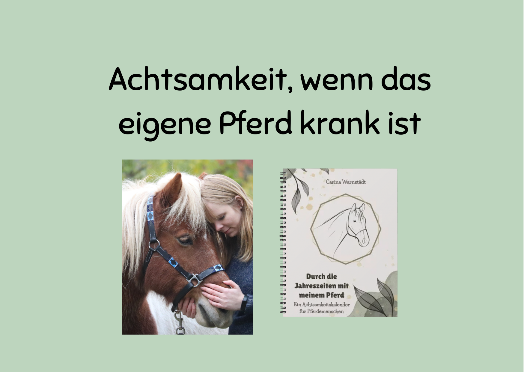 Achtsamkeit, wenn das eigene Pferd krank ist