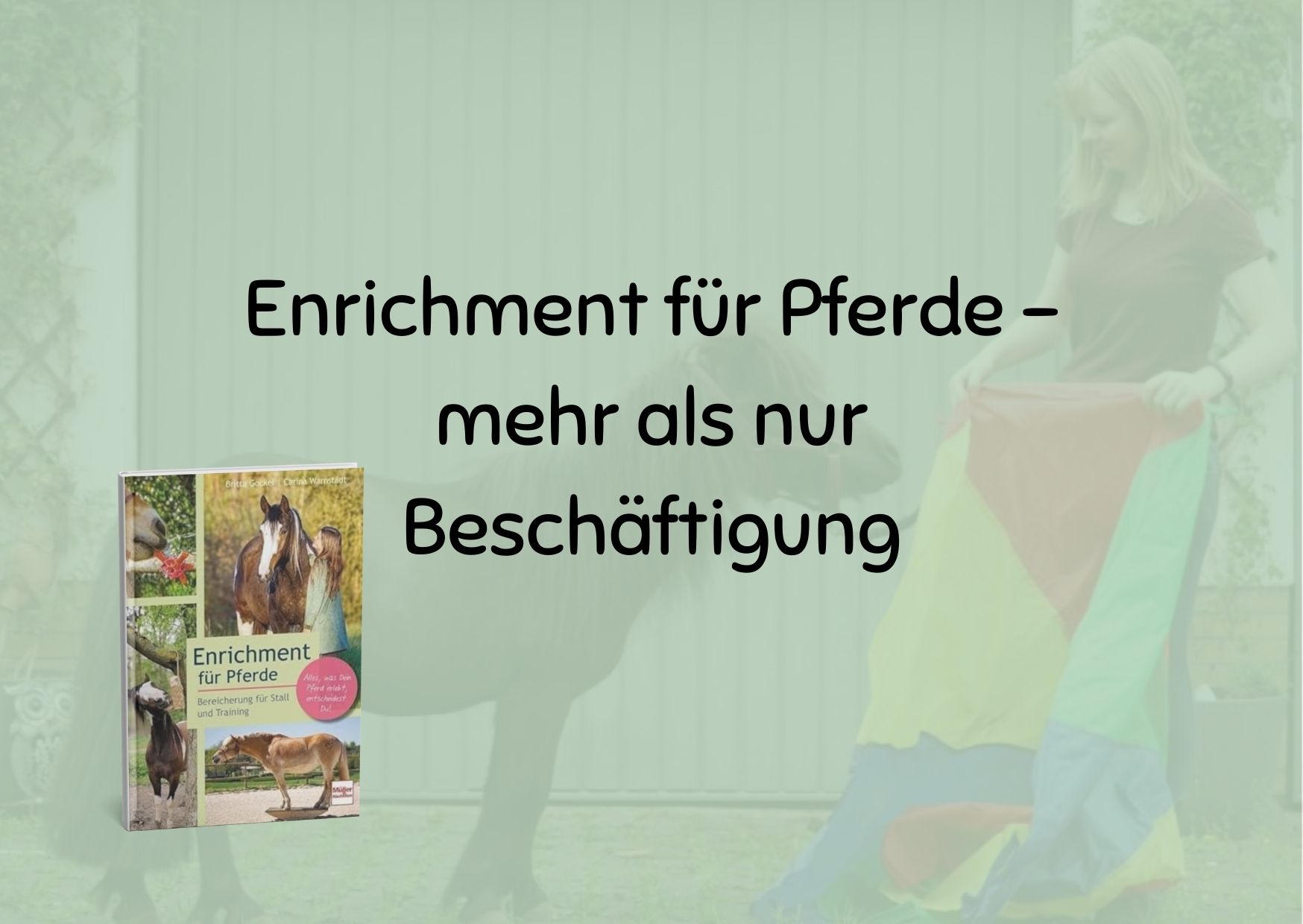 Enrichment für Pferde – mehr als nur Beschäftigung