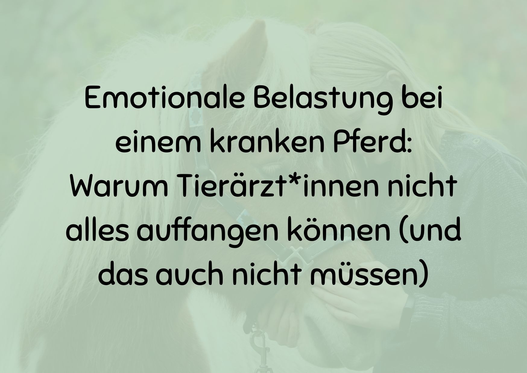 Emotionale Belastung bei einem kranken Pferd: Warum Tierärzt*innen nicht alles auffangen können (und das auch nicht müssen)