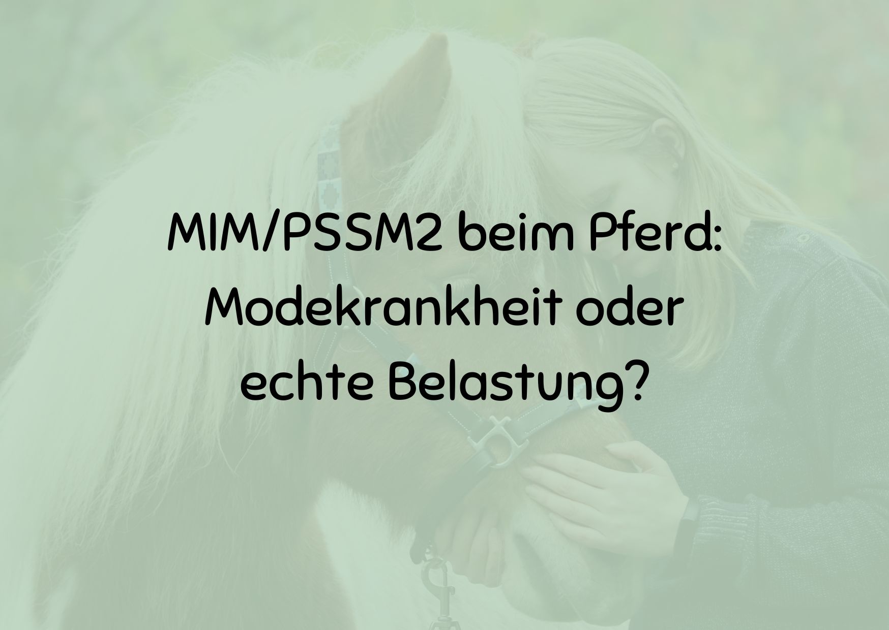 MIM/PSSM2 beim Pferd: Modekrankheit oder echte Belastung?