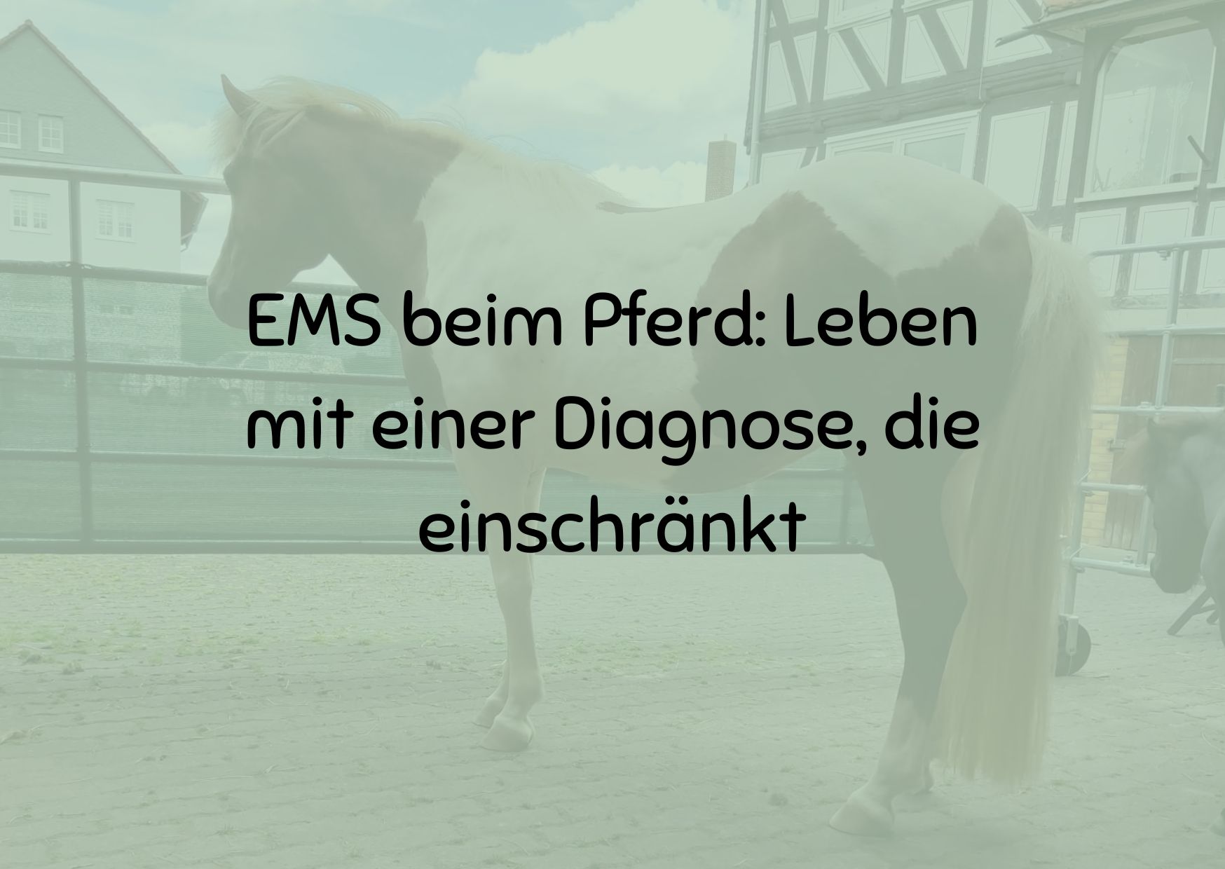 EMS beim Pferd: Leben mit einer Diagnose, die einschränkt
