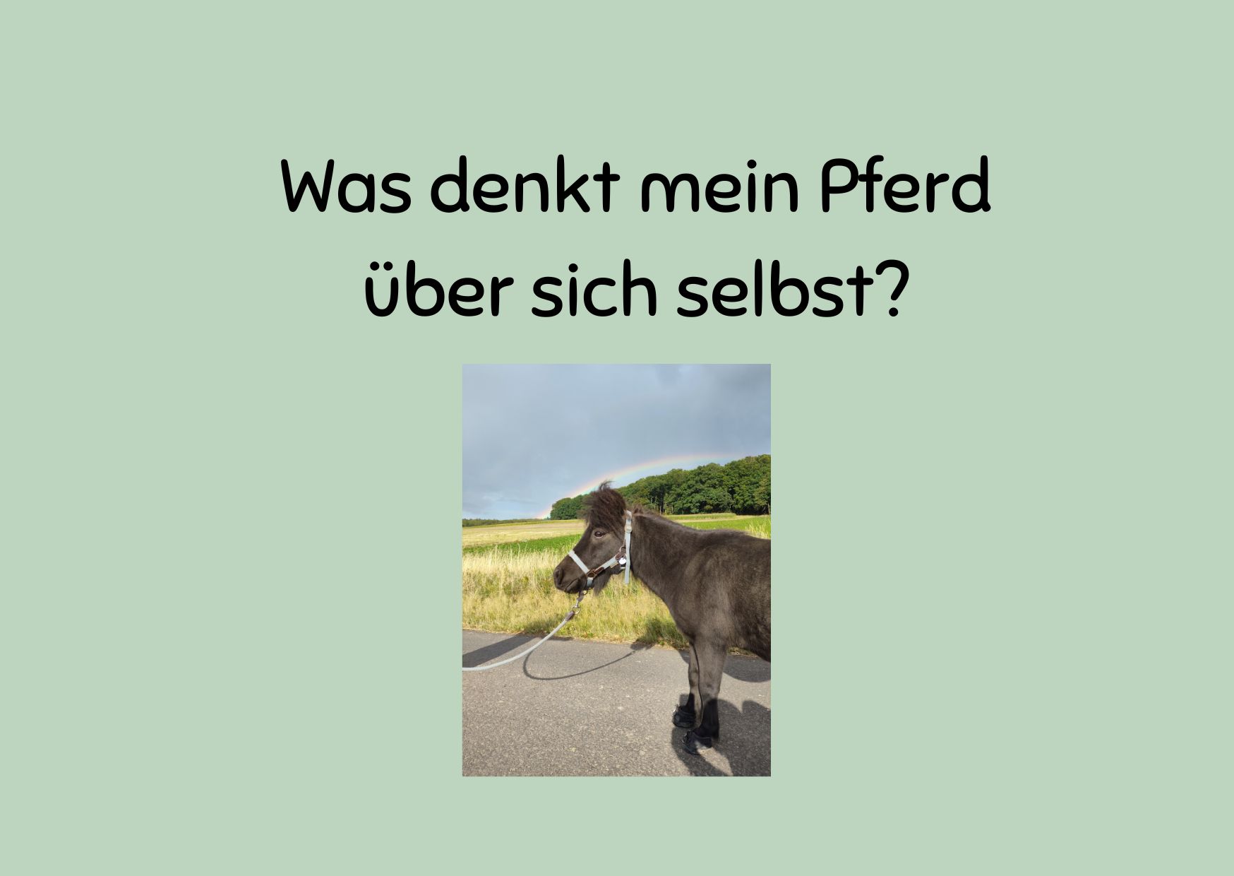 Was denkt mein Pferd über sich selbst?