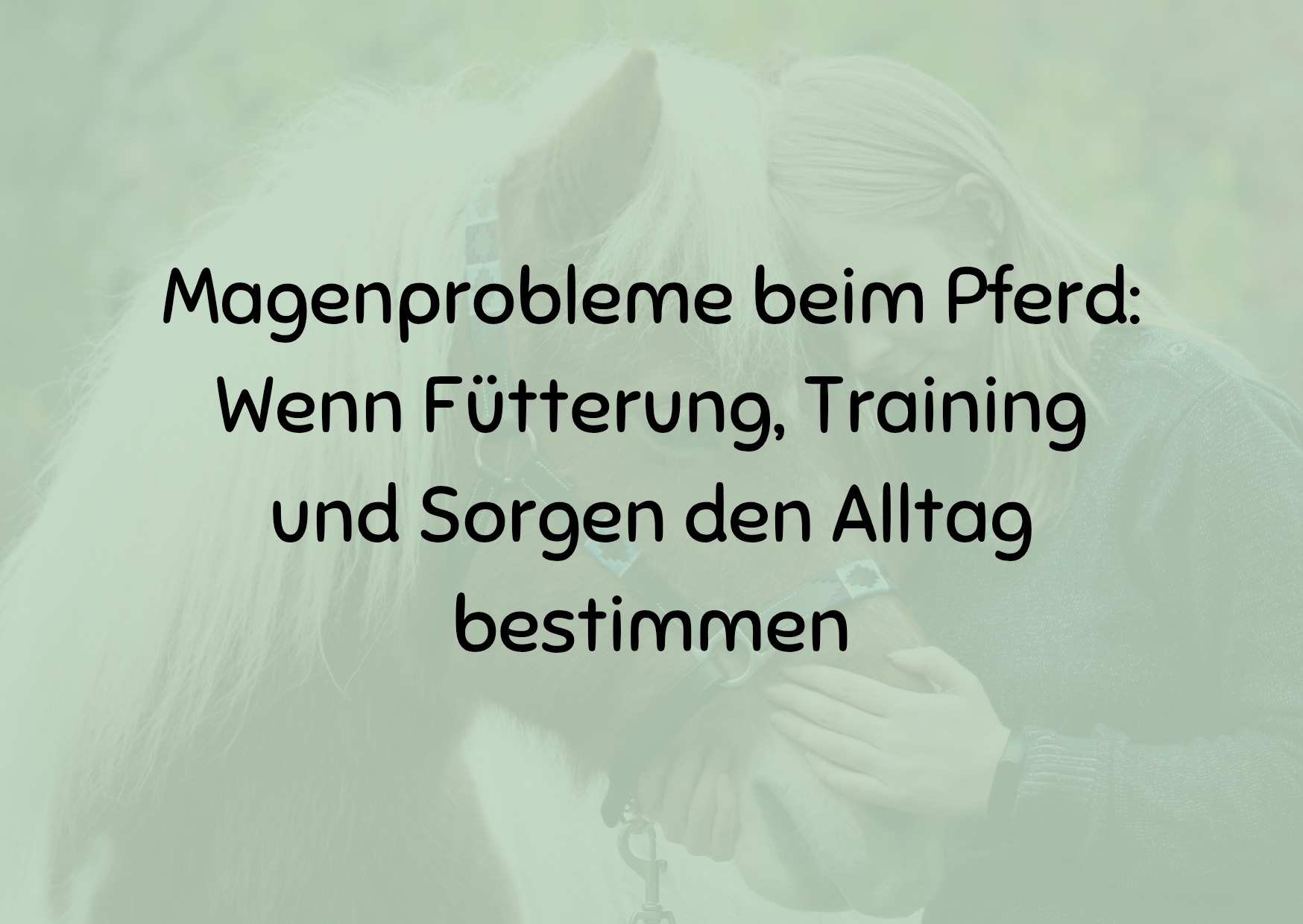 Magenprobleme beim Pferd: Wenn Fütterung, Training und Sorgen den Alltag bestimmen