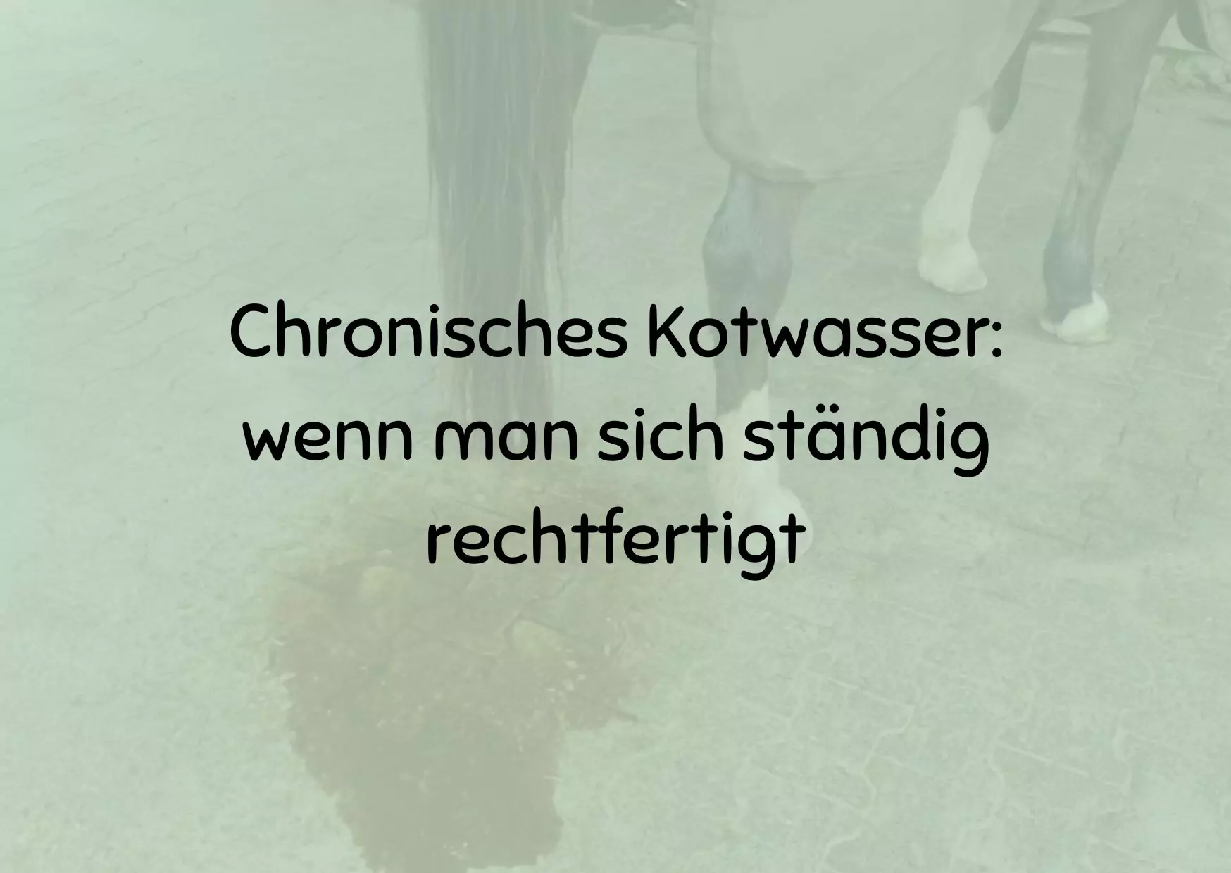 Chronisches Kotwasser: wenn man sich ständig rechtfertigt