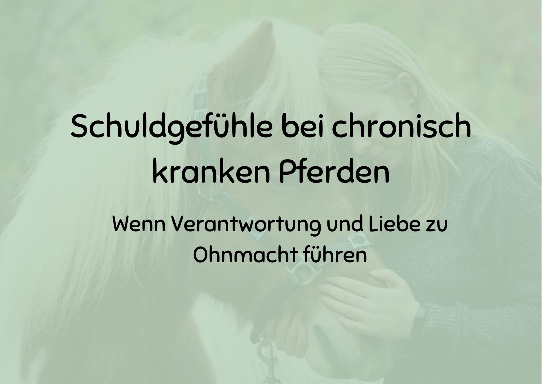 Schuldgefühle bei chronisch kranken Pferden