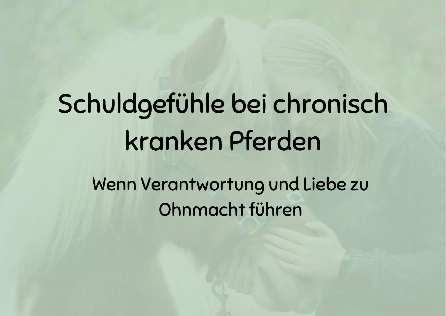 Schuldgefühle bei chronisch kranken Pferden