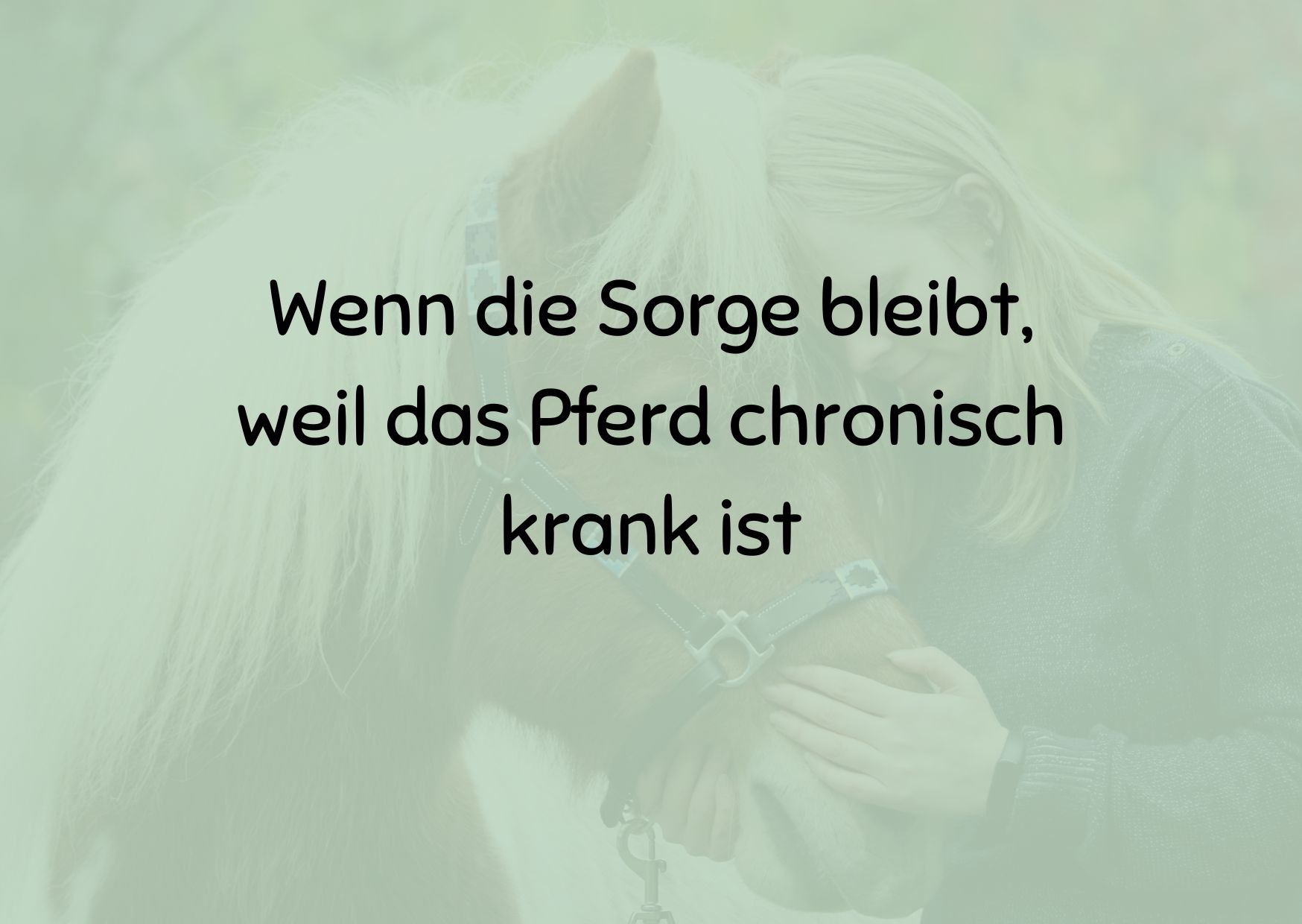 Wenn die Sorge bleibt, weil das Pferd chronisch krank ist