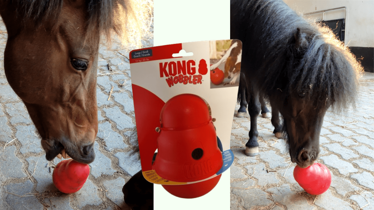 Enrichment-Idee: Futterspiele für Pferde mit dem Kong