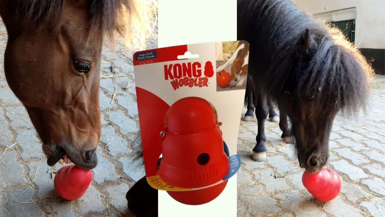Enrichment-Idee: Futterspiele für Pferde mit dem Kong